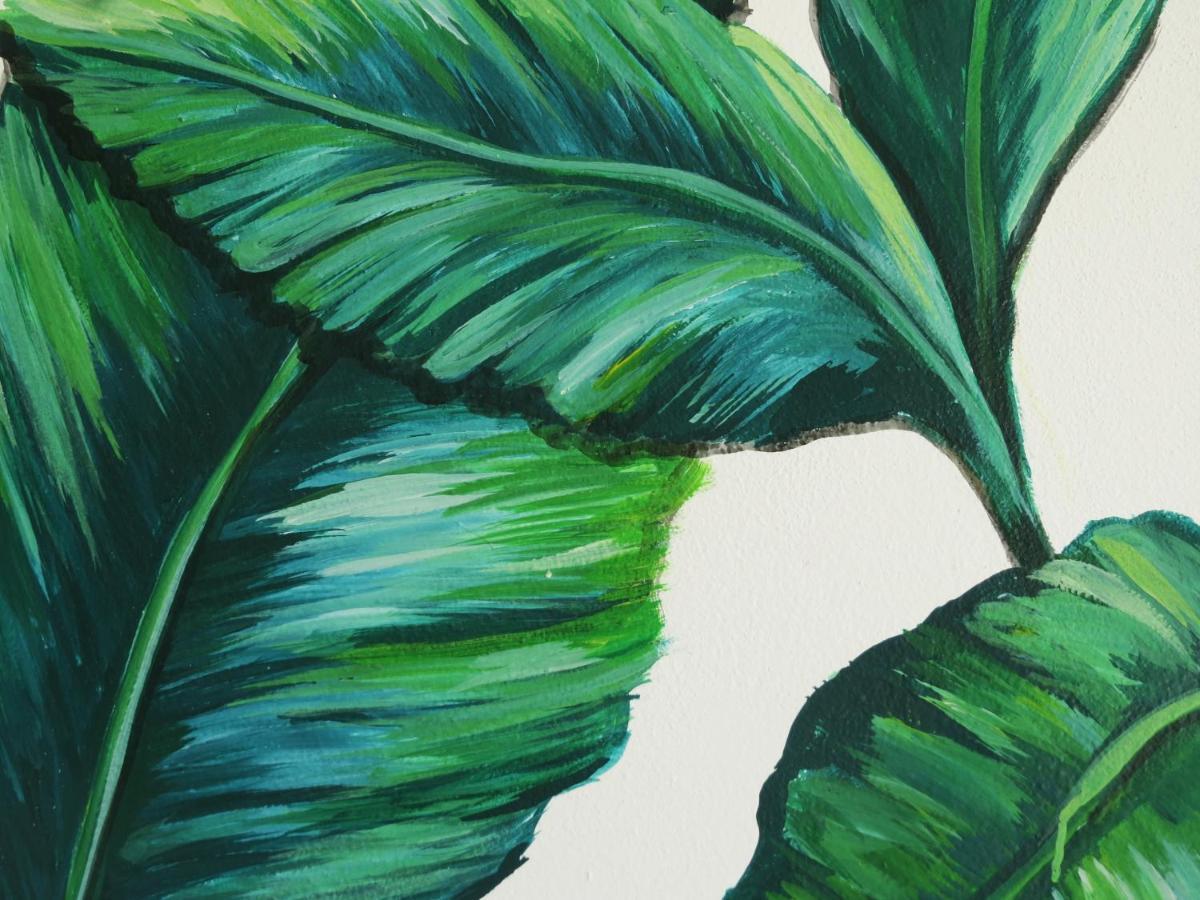 Art Maya Rooms Isla Holbox Екстер'єр фото