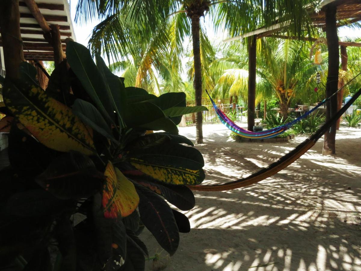 Art Maya Rooms Isla Holbox Екстер'єр фото